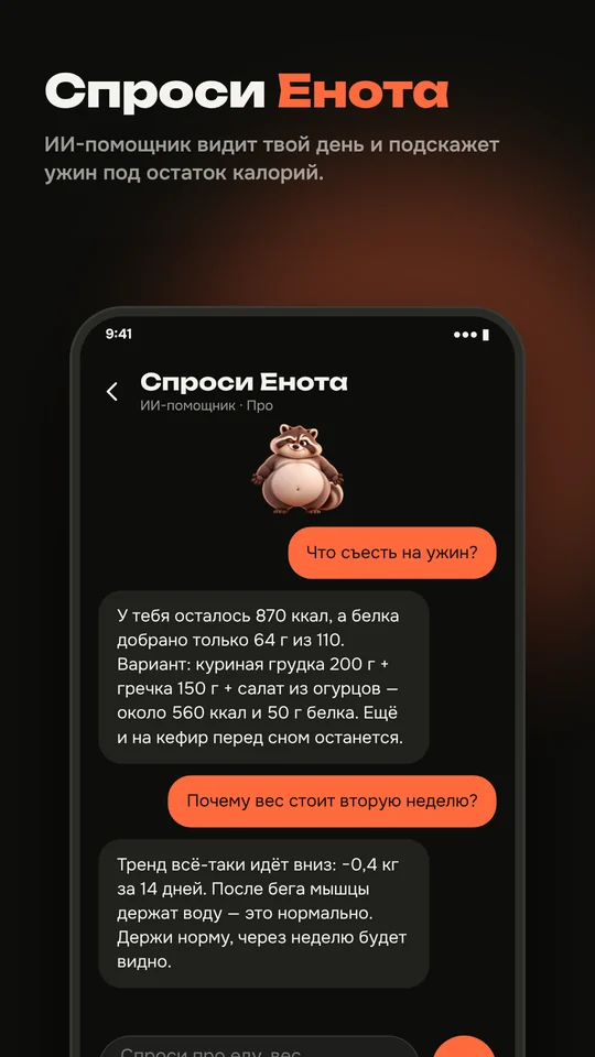 Спроси Енота — экран приложения
